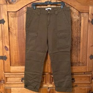 Ann Taylor Loft Marisa Fit Cargo Pants